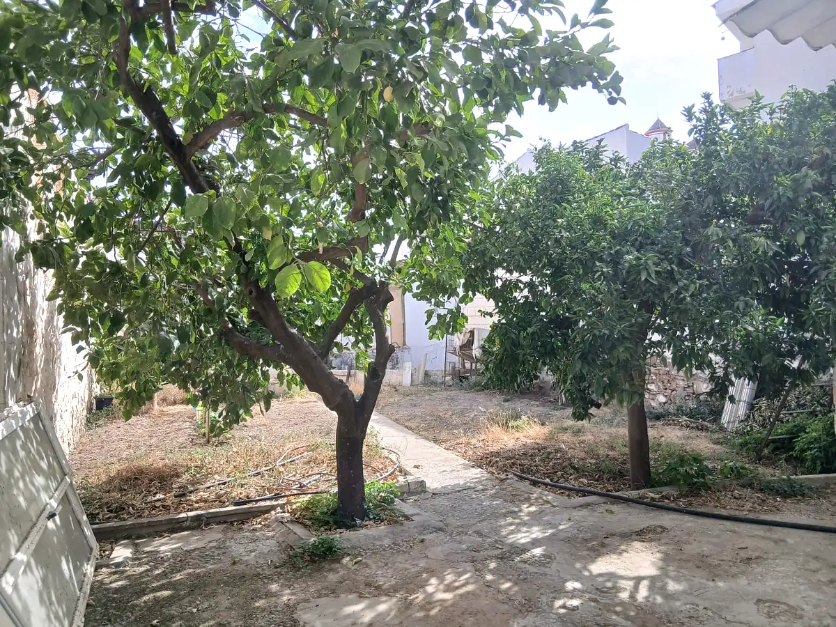 Casa de pueblo con huerto y frutales en el centro de Alozaina
