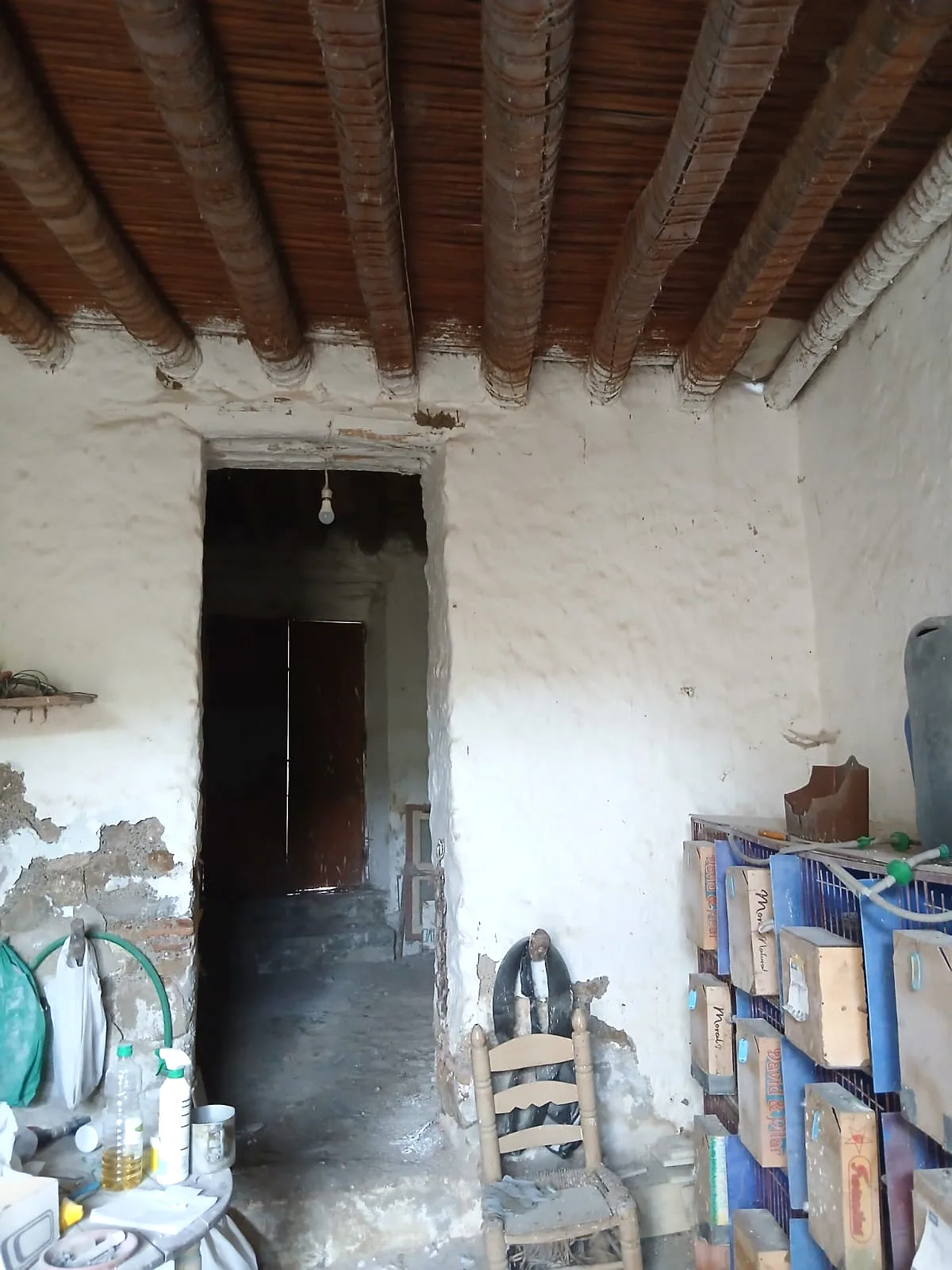 Casa de pueblo con huerto y frutales en el centro de Alozaina - Foto 12