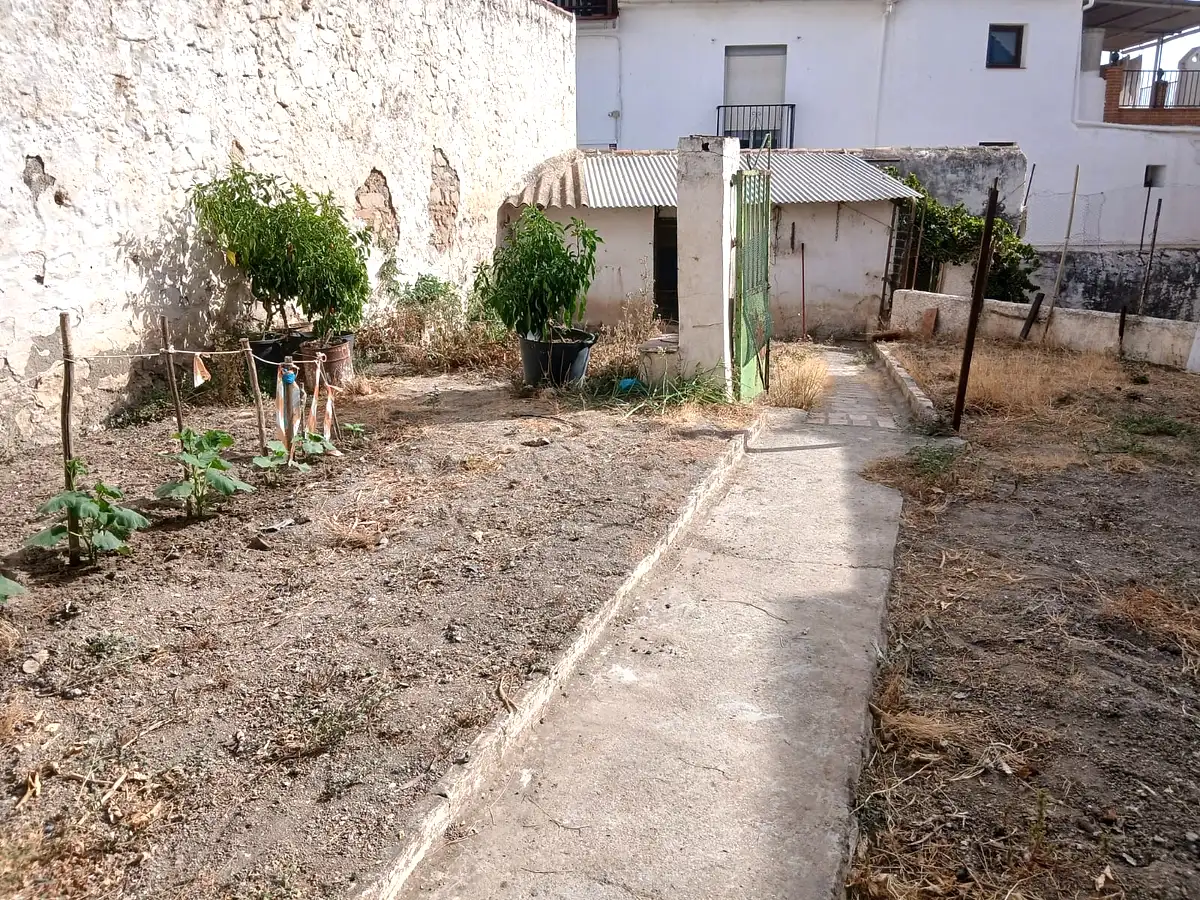 Casa de pueblo con huerto y frutales en el centro de Alozaina - Foto 4